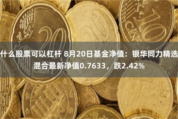 什么股票可以杠杆 8月20日基金净值：银华同力精选混合最新净值0.7633，跌2.42%