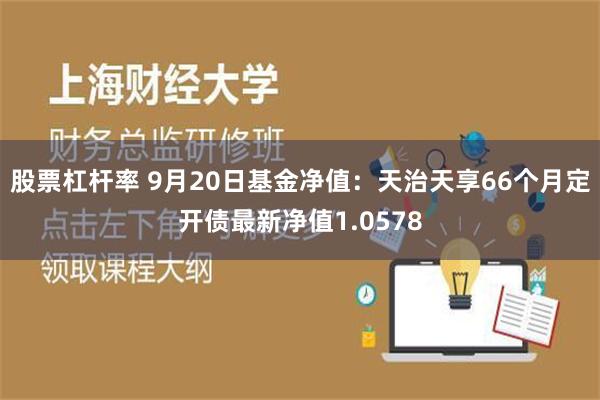 股票杠杆率 9月20日基金净值：天治天享66个月定开债最新净值1.0578