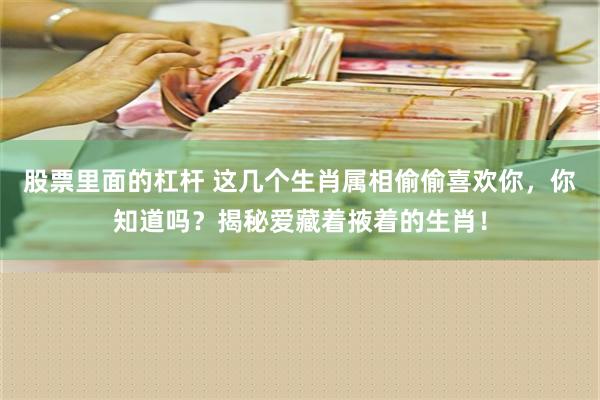 股票里面的杠杆 这几个生肖属相偷偷喜欢你，你知道吗？揭秘爱藏着掖着的生肖！