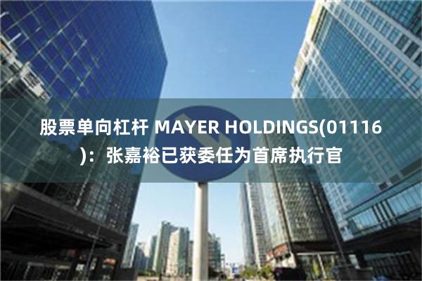 股票单向杠杆 MAYER HOLDINGS(01116)：张嘉裕已获委任为首席执行官