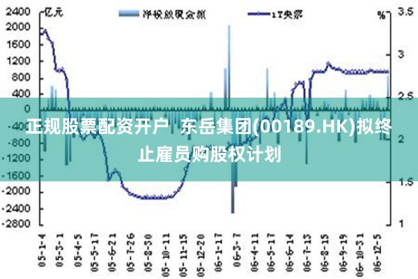 正规股票配资开户  东岳集团(00189.HK)拟终止雇员购股权计划