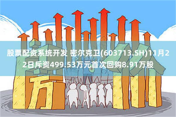 股票配资系统开发 密尔克卫(603713.SH)11月22日斥资499.53万元首次回购8.91万股