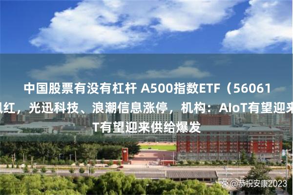 中国股票有没有杠杆 A500指数ETF（560610）收盘飘红，光迅科技、浪潮信息涨停，机构：AIoT有望迎来供给爆发