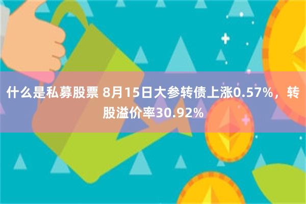 什么是私募股票 8月15日大参转债上涨0.57%，转股溢价率30.92%